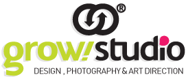 Diseño Grafico y paginas web en Guadalajara,Jalisco y Republica Mexicana. GROWSTUDIO.